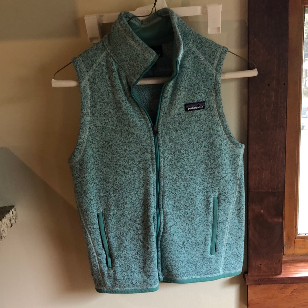Patagonia Light Blue Fleece Vest